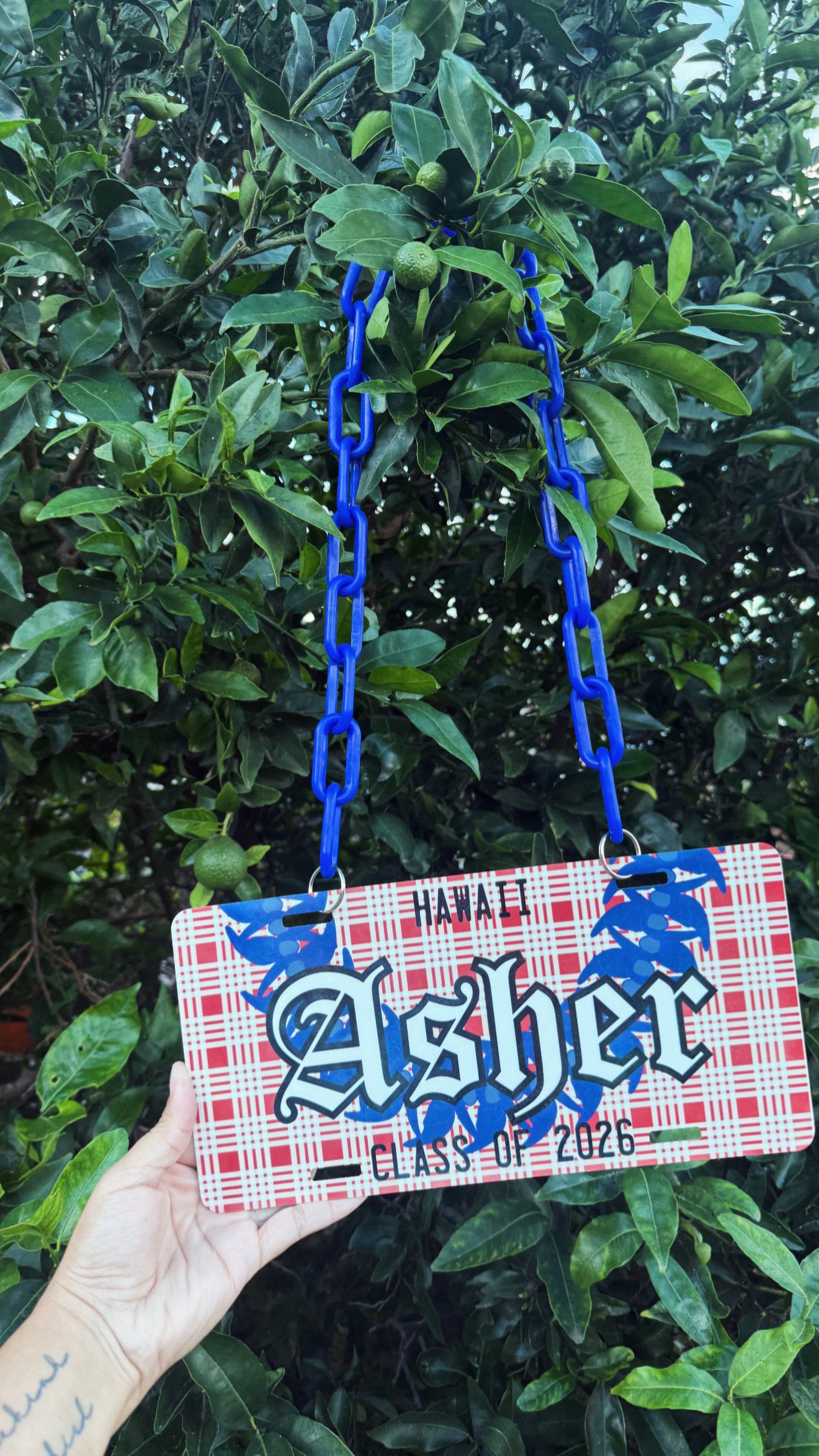FULLY CUSTOMIZED LICENSE PLATE LEI