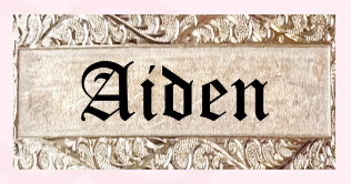 Gold Chain License Plate Leis