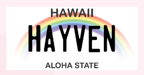Graduation License Plate Leis