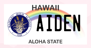 Graduation License Plate Leis