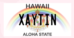 Graduation License Plate Leis